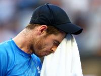 IM电竞官网入口-包含法网横扫拉沃尔杯，穆雷统治全场的词条